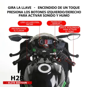 Kawasaki H2R Elite Humo 1-9 Mandos